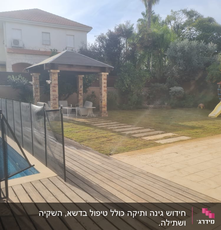 דשא ירוק עם שביל אבנים בגינה פרטית